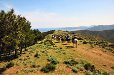 Spain-Catalonia-Coastal Gourmet Passion Ride